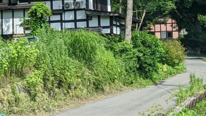 在德国日常沟通指南：称呼、时间、反馈与边界怎样按场景确认主题配图